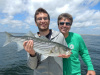 Merrimack River Striper caught by Brett Squires